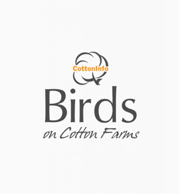 Birds on Cotton Farms App